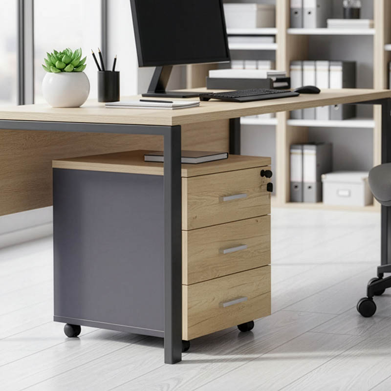 Συρταριέρα τροχήλατη Lotus pakoworld 3ων συρταριών φυσικό-ανθρακί χρώμα 40x47x55εκ