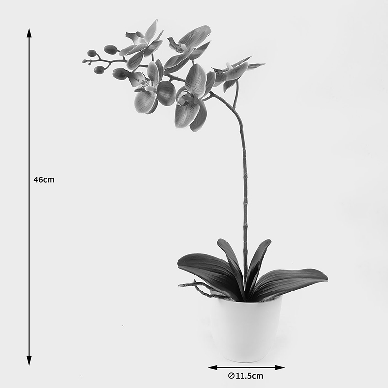 Διακοσμητικό φυτό σε γλάστρα Οrchid Beauty Inart 30x13x46εκ - Image 3