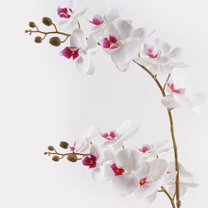 Διακοσμητικό φυτό σε γλάστρα Οrchid White Inart 36x17x65εκ