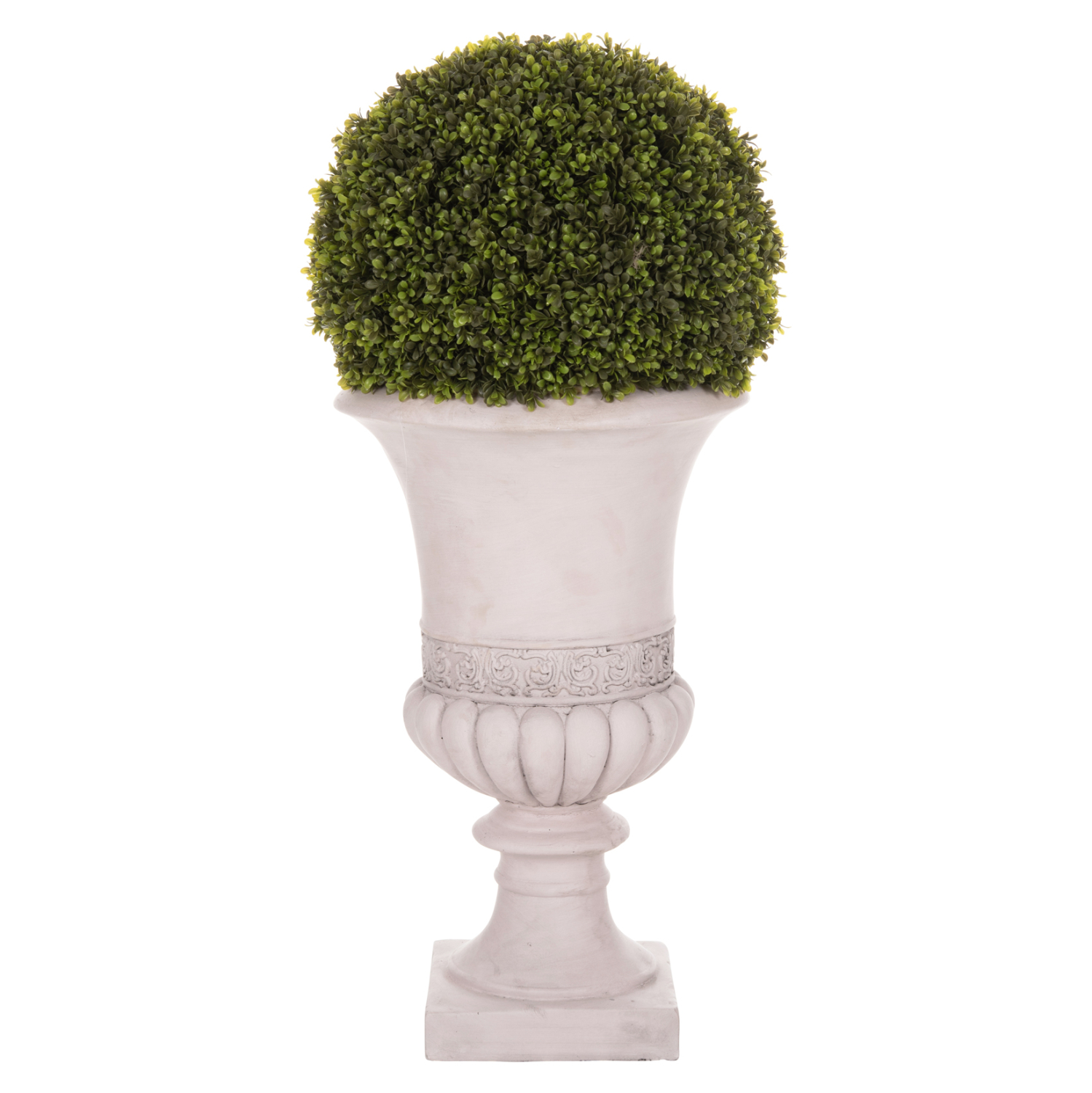 ΔΙΑΚΟΣΜΗΤΙΚΟ ΣΥΝΘΕΤΙΚΟ ΦΥΤΟ HM4023 ΠΥΞΑΡΙ ΣΕ ΑΜΦΟΡΕΑ ΜΑΓΝΗΣΙΟΥ 82Υεκ. - Image 3