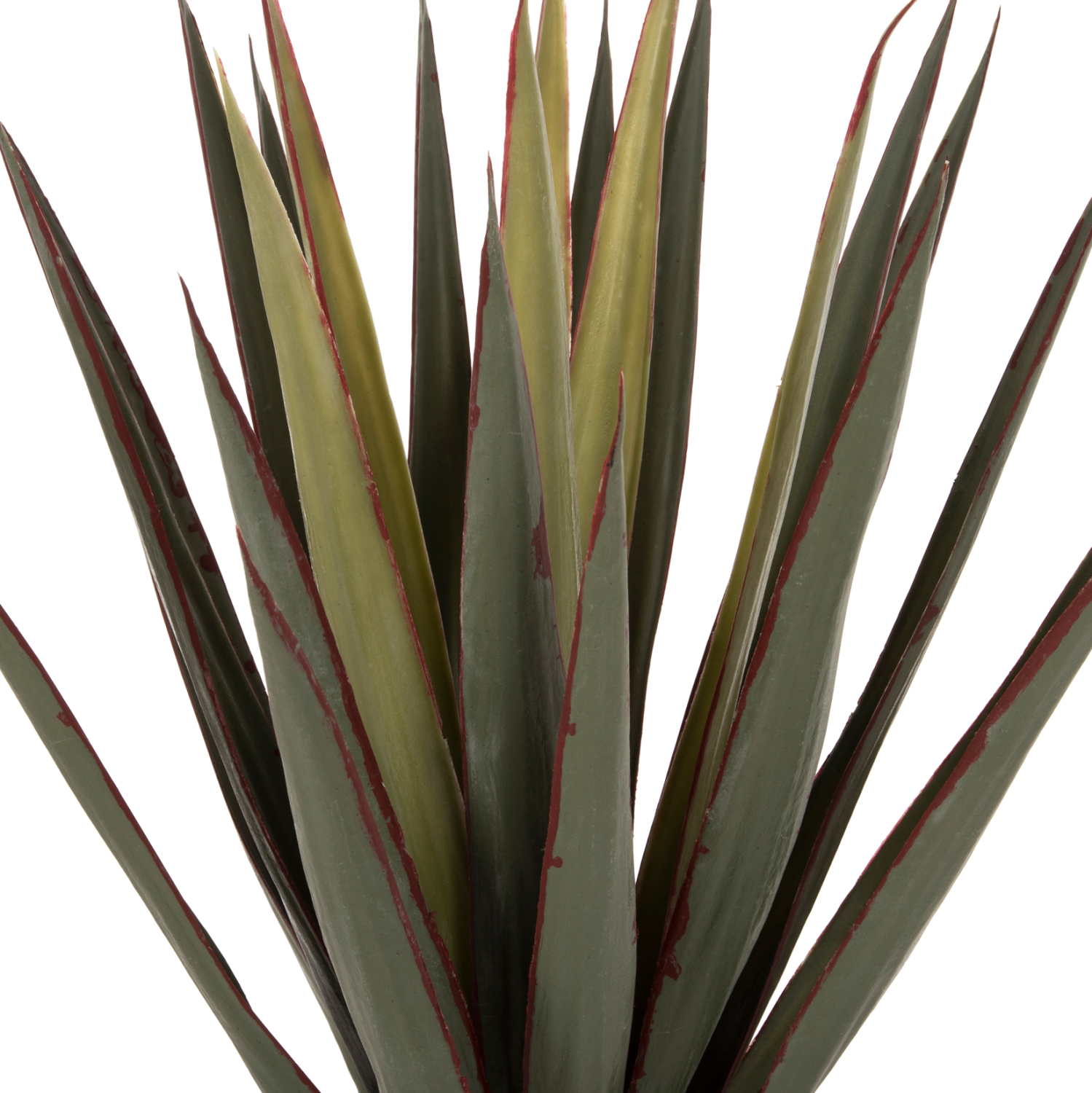 ΔΙΑΚΟΣΜΗΤΙΚΟ ΣΥΝΘΕΤΙΚΟ ΦΥΤΟ HM7985 SISAL AGAVE ΣΕ ΓΛΑΣΤΡΑ Φ13,5x13-76Υεκ. - Image 3
