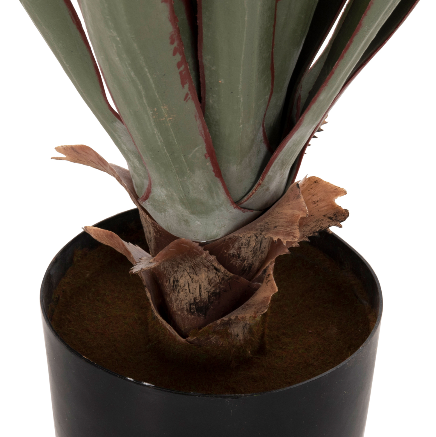 ΔΙΑΚΟΣΜΗΤΙΚΟ ΣΥΝΘΕΤΙΚΟ ΦΥΤΟ HM7985 SISAL AGAVE ΣΕ ΓΛΑΣΤΡΑ Φ13,5x13-76Υεκ. - Image 4